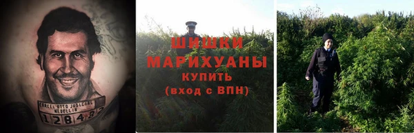 меф Богородицк
