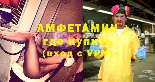 ГАЛЛЮЦИНОГЕННЫЕ ГРИБЫ Бородино