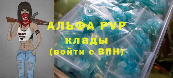 ГАЛЛЮЦИНОГЕННЫЕ ГРИБЫ Бородино