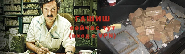 ГАЛЛЮЦИНОГЕННЫЕ ГРИБЫ Бородино
