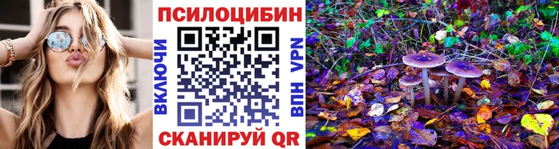 цена   OMG tor  Псилоцибиновые грибы Cubensis  Мелеуз 
